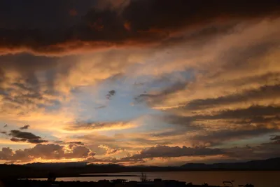 DSC_3317 (Large).JPG